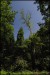 F007 162.JPG
