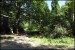 F007 161.JPG