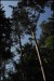 F007 171.JPG