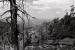 Photo19_19