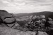 Photo33_33
